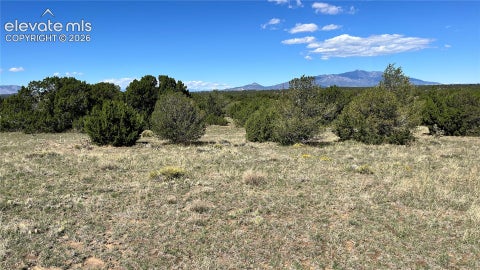 Photo of 34 Huerfano Boulevard, Walsenburg, CO 81089 (MLS # 1293196)