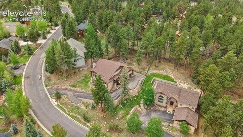 Tiny photo for 1350 Masters Drive, Woodland Park, CO 80863 (MLS # 8659005)