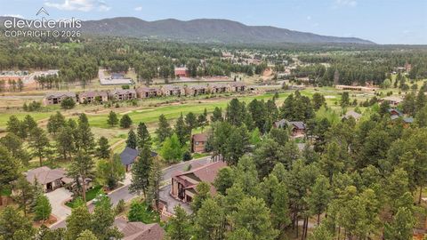 Tiny photo for 1350 Masters Drive, Woodland Park, CO 80863 (MLS # 8659005)