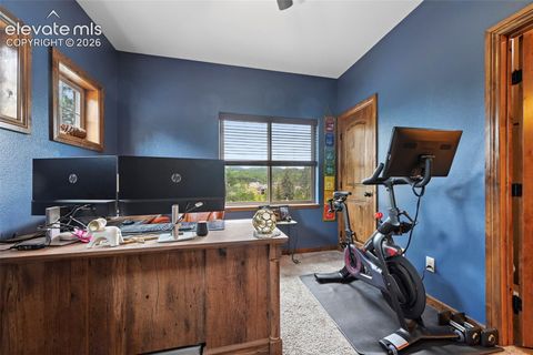 Tiny photo for 1350 Masters Drive, Woodland Park, CO 80863 (MLS # 8659005)