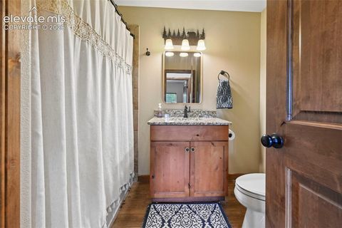 Tiny photo for 1350 Masters Drive, Woodland Park, CO 80863 (MLS # 8659005)