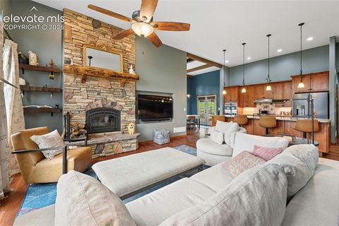 Tiny photo for 1350 Masters Drive, Woodland Park, CO 80863 (MLS # 8659005)