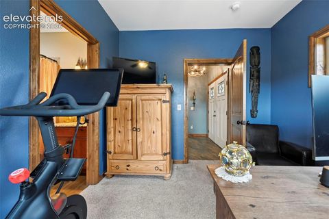 Tiny photo for 1350 Masters Drive, Woodland Park, CO 80863 (MLS # 8659005)