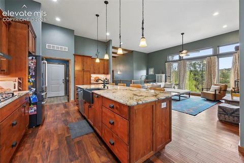 Tiny photo for 1350 Masters Drive, Woodland Park, CO 80863 (MLS # 8659005)
