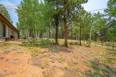 Tiny photo for 156 Fossil Creek Road, Florissant, CO 80816 (MLS # 2007320)