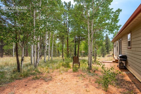 Tiny photo for 156 Fossil Creek Road, Florissant, CO 80816 (MLS # 2007320)