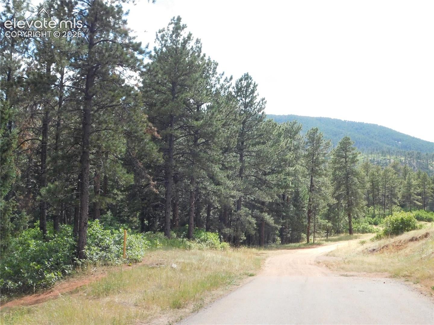 8169 Bannock Drive, Larkspur, CO, 80118 8169 Bannock Drive
