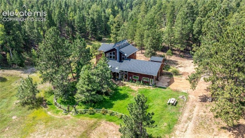 Tiny photo for 2493 County Road 782, Woodland Park, CO 80863 (MLS # 9213995)
