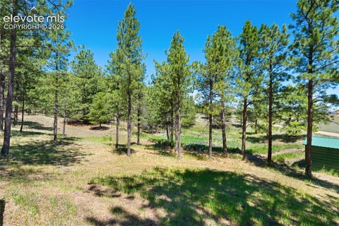 Tiny photo for 5463 High Park Road, Florissant, CO 80816 (MLS # 6523886)