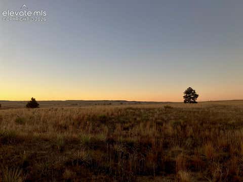 Photo of 23450 Fastbrook Lane, Calhan, CO 80808 (MLS # 4647793)