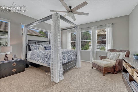 Tiny photo for 6743 Mustang Rim Drive, Colorado Springs, CO 80923 (MLS # 3077626)