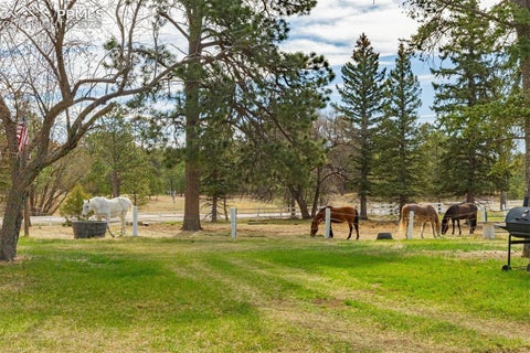 Tiny photo for 13354 N Meridian Road, Elbert, CO 80106 (MLS # 3754661)