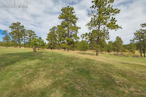Tiny photo for 13354 N Meridian Road, Elbert, CO 80106 (MLS # 3754661)