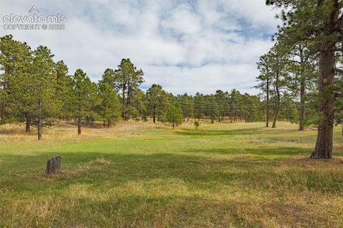 Tiny photo for 13354 N Meridian Road, Elbert, CO 80106 (MLS # 3754661)