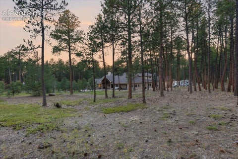 Tiny photo for 15575 Winding Trail Road, Colorado Springs, CO 80908 (MLS # 6227135)