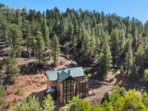 Tiny photo for 4214 Trout Creek Road, Woodland Park, CO 80863 (MLS # 2632814)