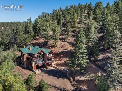 Photo of 4214 Trout Creek Road, Woodland Park, CO 80863 (MLS # 2632814)