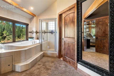 Tiny photo for 4214 Trout Creek Road, Woodland Park, CO 80863 (MLS # 2632814)
