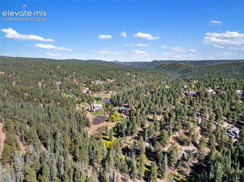 Tiny photo for 4214 Trout Creek Road, Woodland Park, CO 80863 (MLS # 2632814)