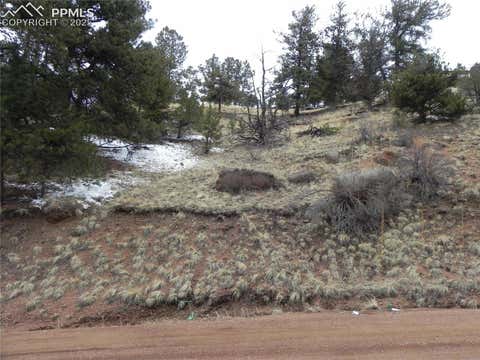 Photo of 153 Idlewild Drive, Cripple Creek, CO 80813 (MLS # 7632671)
