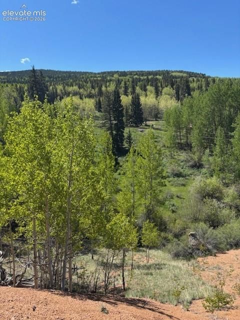 Photo of 124 Yorktown Road, Cripple Creek, CO 80813 (MLS # 4538420)