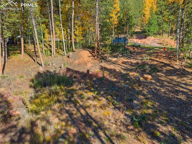 1320 Forest Edge Road
