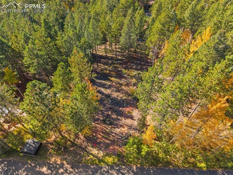 Photo of 1320 Forest Edge Road, Woodland Park, CO 80863 (MLS # 9671066)