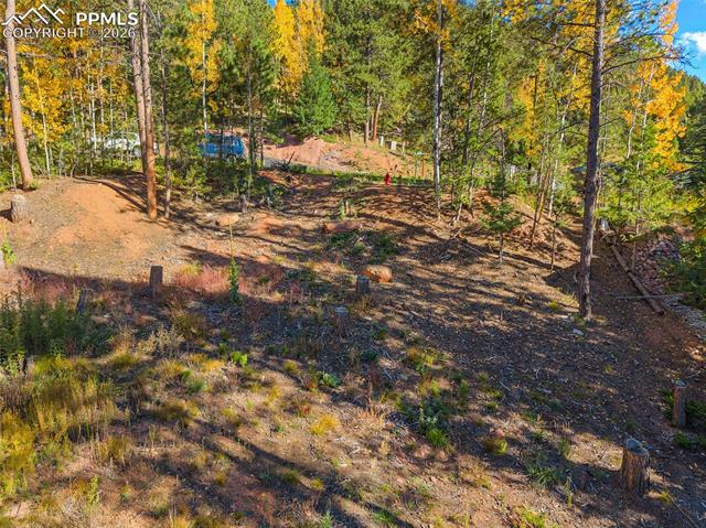 1320 Forest Edge Road