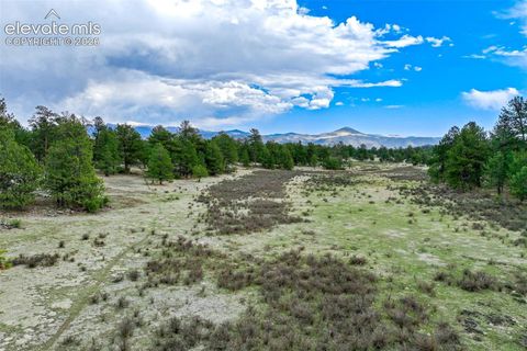 Photo of 103 Doe Valley Road, Guffey, CO 80820 (MLS # 6069645)
