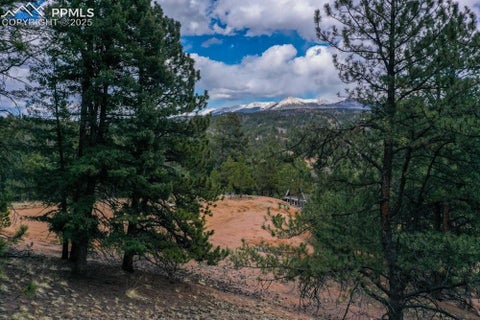 Photo of 102 Blue Bell Circle, Cripple Creek, CO 80813 (MLS # 8991538)