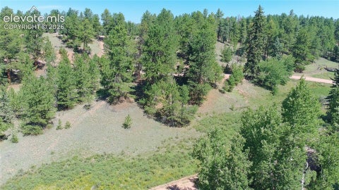 Photo of 719 Spring Valley Lane, Florissant, CO 80816 (MLS # 8979494)