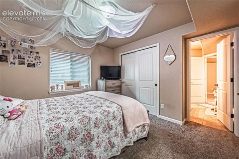 Tiny photo for 6668 Dark Oak View, Colorado Springs, CO 80923 (MLS # 9332530)