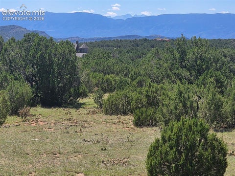 Photo of 1284 RED ROCKS Circle, Penrose, CO 81240 (MLS # 5354381)