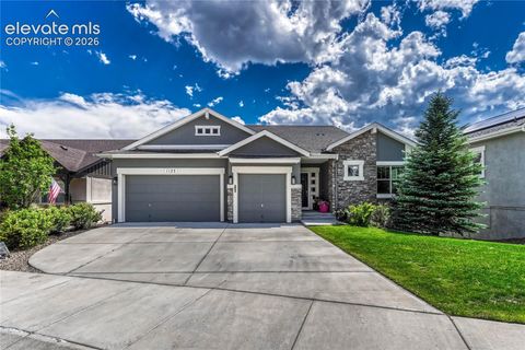 Photo of 1123 Giacomo Court, Colorado Springs, CO 80921 (MLS # 5898096)
