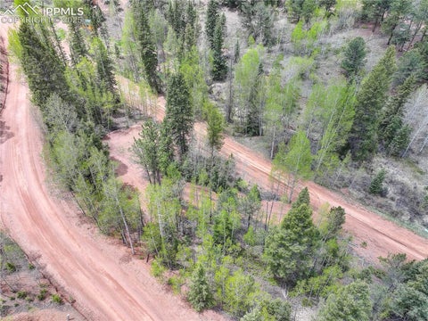 Photo of 416 Willow Road, Divide, CO 80814 (MLS # 6011599)