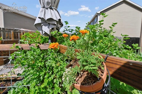 Tiny photo for 6291 Pilgrimage Road, Colorado Springs, CO 80925 (MLS # 4607313)