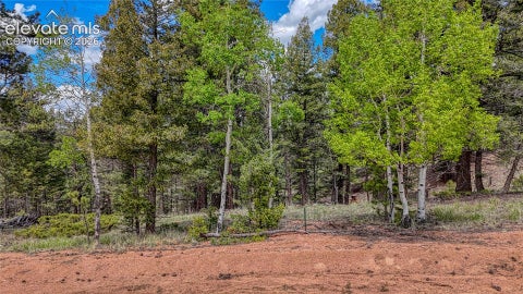 Photo of 26 N Eldorado Circle, Florissant, CO 80816 (MLS # 4489297)