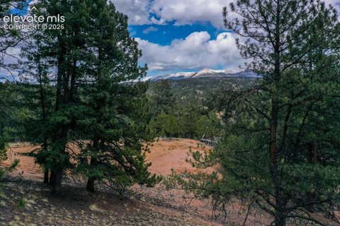 Photo of 102 Blue Bell Circle, Cripple Creek, CO 80813 (MLS # 5085108)
