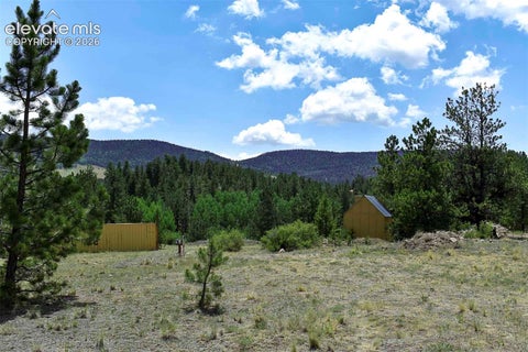 Photo of 376 Copeland Road, Guffey, CO 80820 (MLS # 5033893)