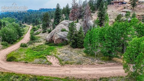 Photo of 830 Pinon Lane, Florissant, CO 80816 (MLS # 1611718)