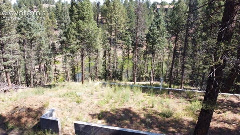 Photo of 67 Gerka Lane, Florissant, CO 80816 (MLS # 2778645)
