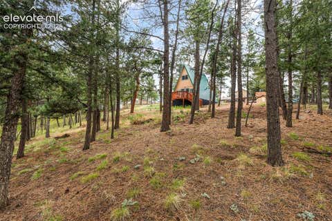 Tiny photo for 110 Gentian Road, Woodland Park, CO 80866 (MLS # 4198853)