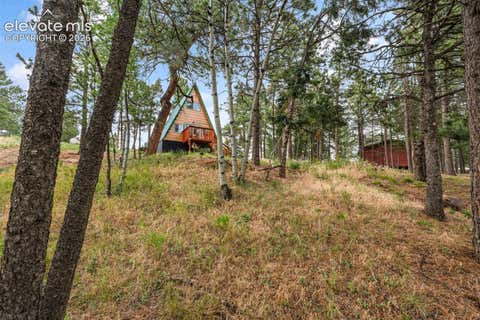 Tiny photo for 110 Gentian Road, Woodland Park, CO 80866 (MLS # 4198853)