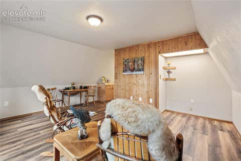 Tiny photo for 110 Gentian Road, Woodland Park, CO 80866 (MLS # 4198853)