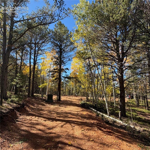 Photo of 800 Timber Ridge Road, Divide, CO 80814 (MLS # 2239874)
