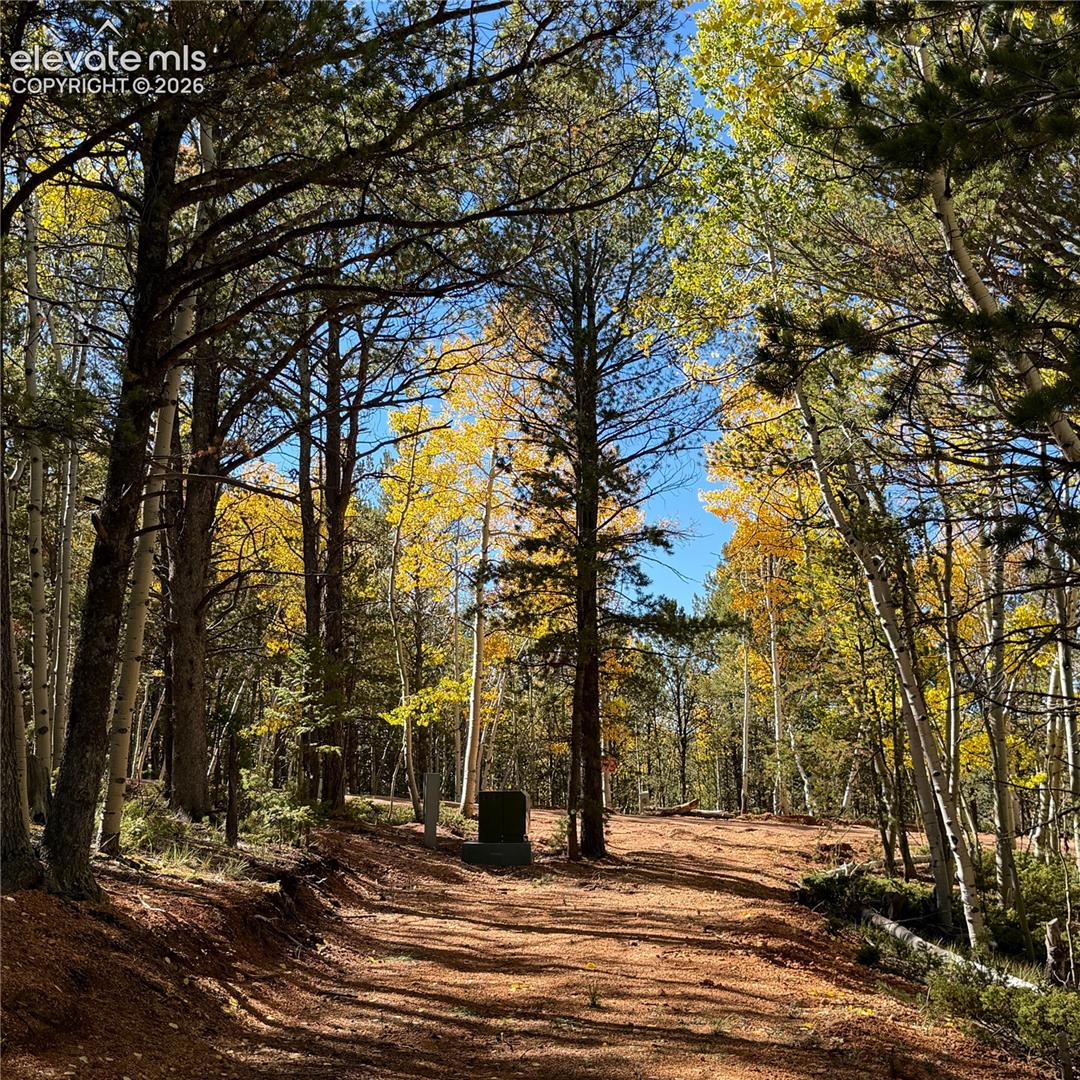 800 Timber Ridge Road