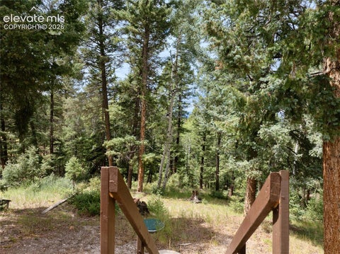 Tiny photo for 45 La Abu Trail, Florissant, CO 80816 (MLS # 7327064)
