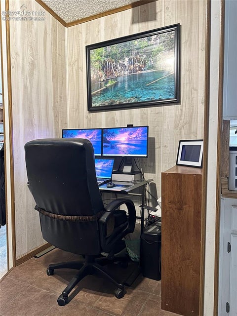 Tiny photo for 45 La Abu Trail, Florissant, CO 80816 (MLS # 7327064)