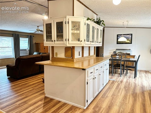Tiny photo for 45 La Abu Trail, Florissant, CO 80816 (MLS # 7327064)