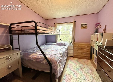 Tiny photo for 45 La Abu Trail, Florissant, CO 80816 (MLS # 7327064)